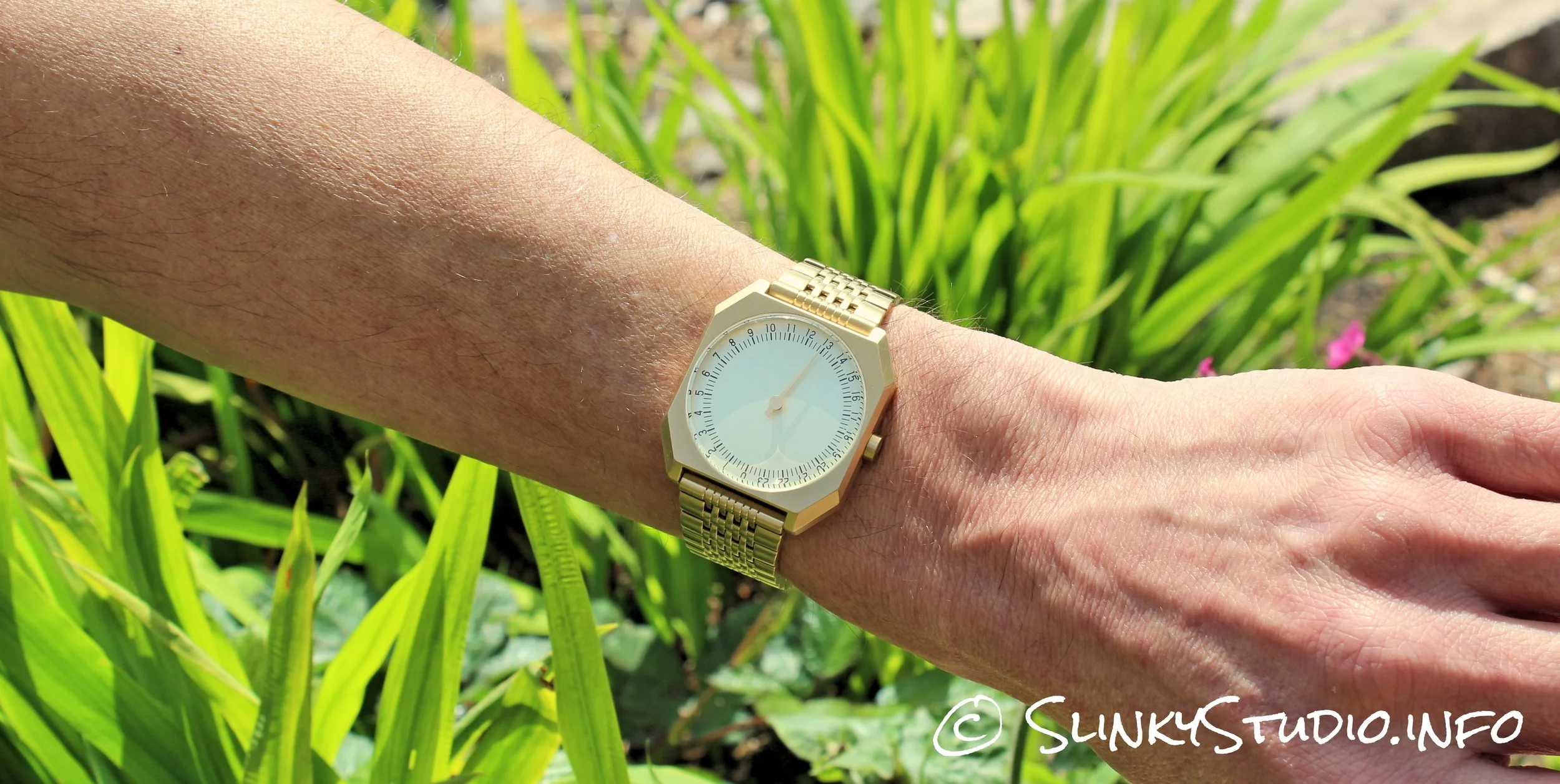 Slow shop jo watch